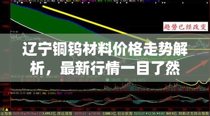 辽宁铜钨材料价格走势解析，最新行情一目了然