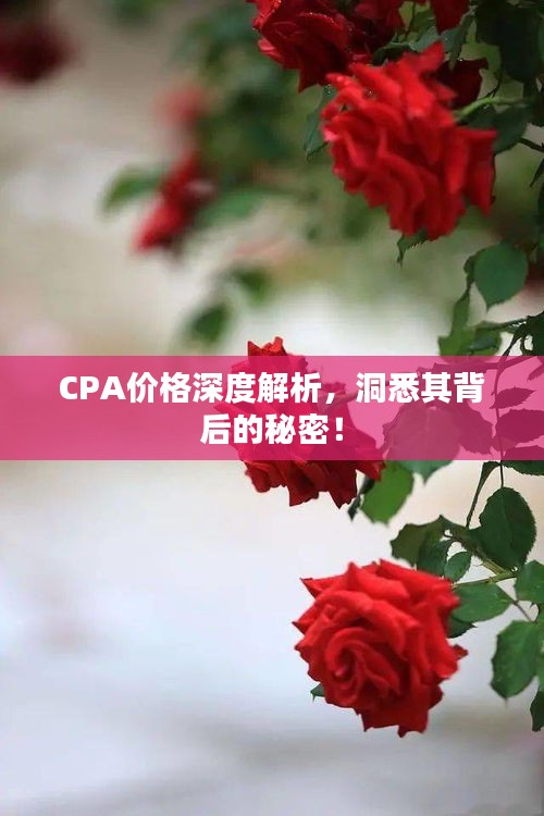 CPA价格深度解析，洞悉其背后的秘密！