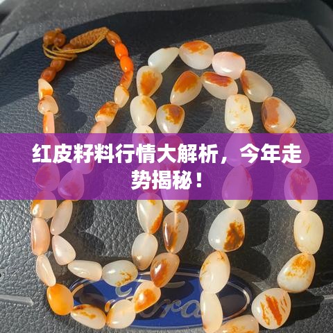 红皮籽料行情大解析，今年走势揭秘！