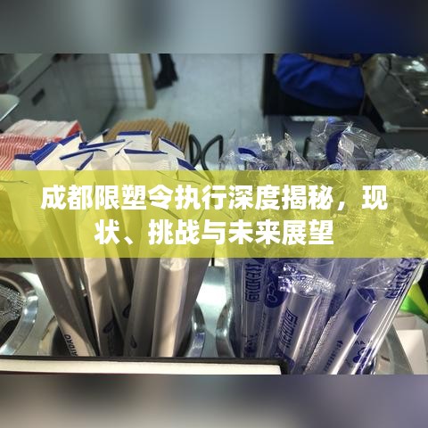 成都限塑令执行深度揭秘，现状、挑战与未来展望