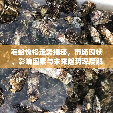 毛蛤价格走势揭秘，市场现状、影响因素与未来趋势深度解析