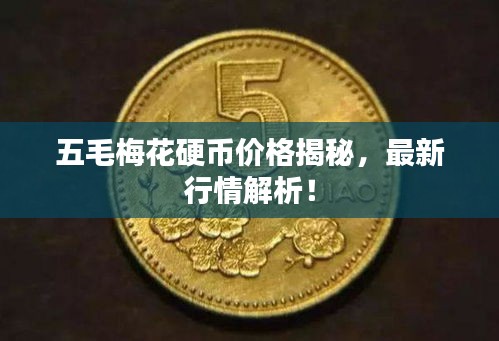 五毛梅花硬币价格揭秘，最新行情解析！