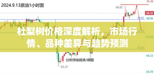 杜梨树价格深度解析，市场行情、品种差异与趋势预测