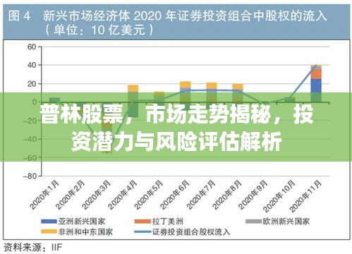 普林股票，市场走势揭秘，投资潜力与风险评估解析