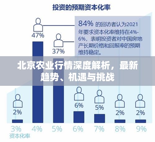 北京农业行情深度解析，最新趋势、机遇与挑战