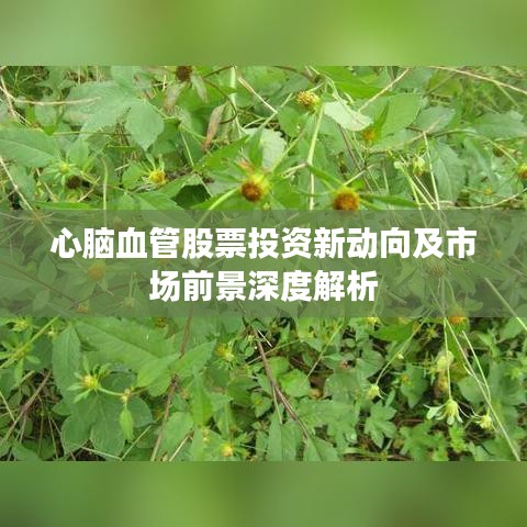 心脑血管股票投资新动向及市场前景深度解析