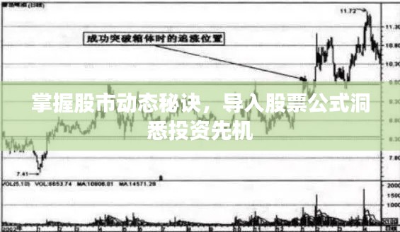 掌握股市动态秘诀，导入股票公式洞悉投资先机