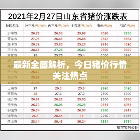 最新全面解析，今日猪价行情关注热点