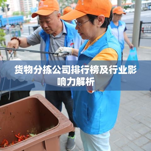 货物分拣公司排行榜及行业影响力解析