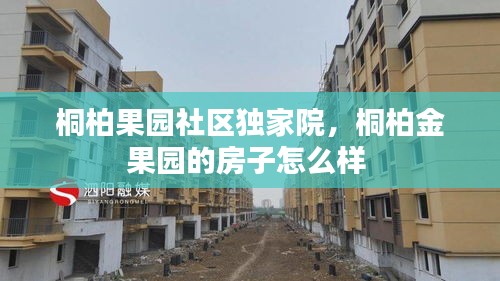 桐柏果园社区独家院，桐柏金果园的房子怎么样 