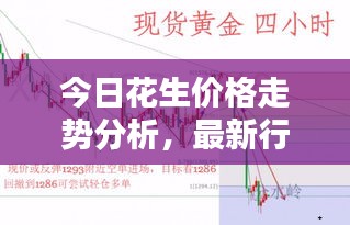 今日花生价格走势分析，最新行情报告