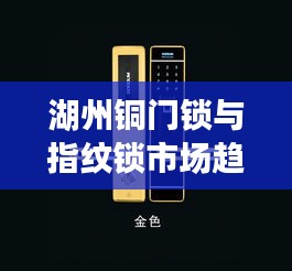 湖州铜门锁与指纹锁市场趋势解析