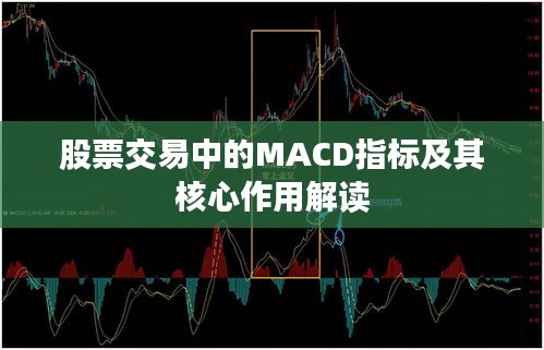 股票交易中的MACD指标及其核心作用解读