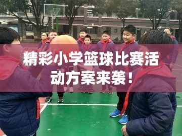 精彩小学篮球比赛活动方案来袭！