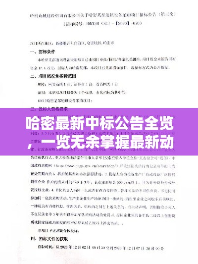 哈密最新中标公告全览，一览无余掌握最新动态