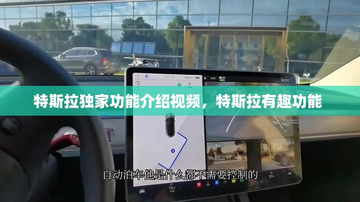 特斯拉独家功能介绍视频，特斯拉有趣功能 