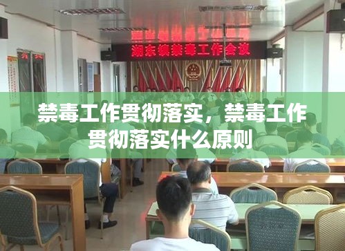 禁毒工作贯彻落实，禁毒工作贯彻落实什么原则 