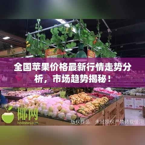 全国苹果价格最新行情走势分析，市场趋势揭秘！