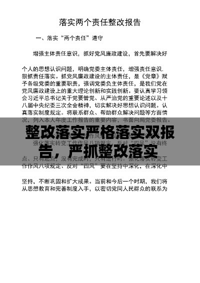 整改落实严格落实双报告，严抓整改落实 