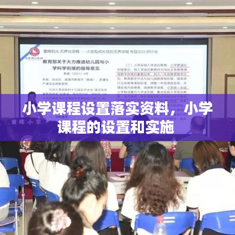 小学课程设置落实资料，小学课程的设置和实施 