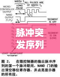 脉冲突发序列结构，简述脉冲序列的分类 