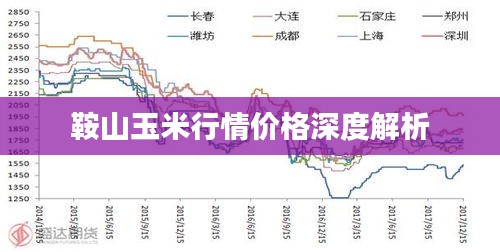 鞍山玉米行情价格深度解析