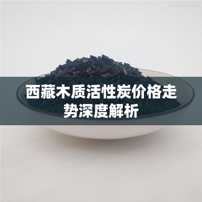 西藏木质活性炭价格走势深度解析