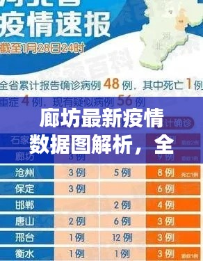 廊坊最新疫情数据图解析，全面把握疫情防控态势