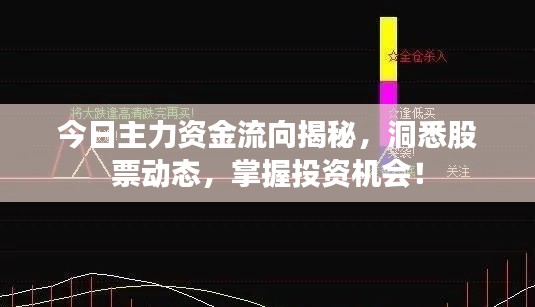 今日主力资金流向揭秘，洞悉股票动态，掌握投资机会！