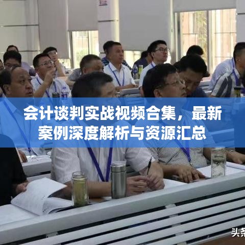 会计谈判实战视频合集，最新案例深度解析与资源汇总