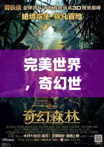 完美世界，奇幻世界的神秘排名与未知领域的探索之旅