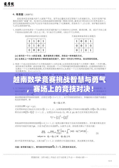 越南数学竞赛挑战智慧与勇气，赛场上的竞技对决！