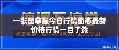 一张图掌握今日行情动态最新价格行情一目了然