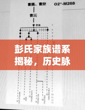 彭氏家族谱系揭秘，历史脉络下的文化传承之旅