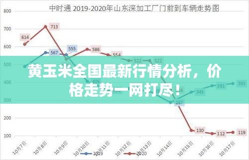 黄玉米全国最新行情分析，价格走势一网打尽！