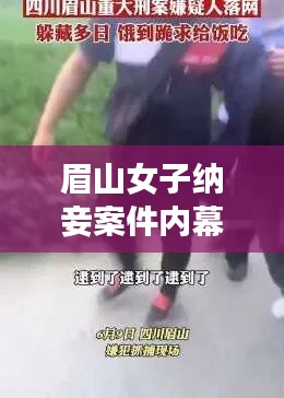 眉山女子纳妾案件内幕揭秘，最新进展曝光！