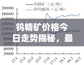 钨精矿价格今日走势揭秘，最新报价及分析报告