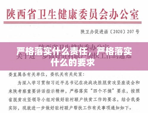 严格落实什么责任，严格落实什么的要求 