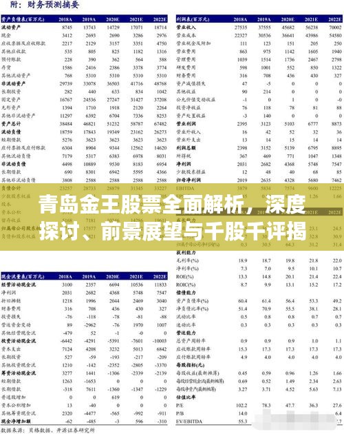 青岛金王股票全面解析，深度探讨、前景展望与千股千评揭秘