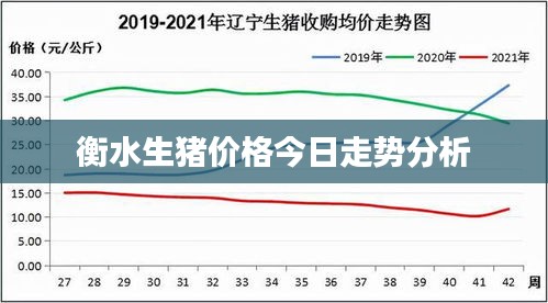 衡水生猪价格今日走势分析