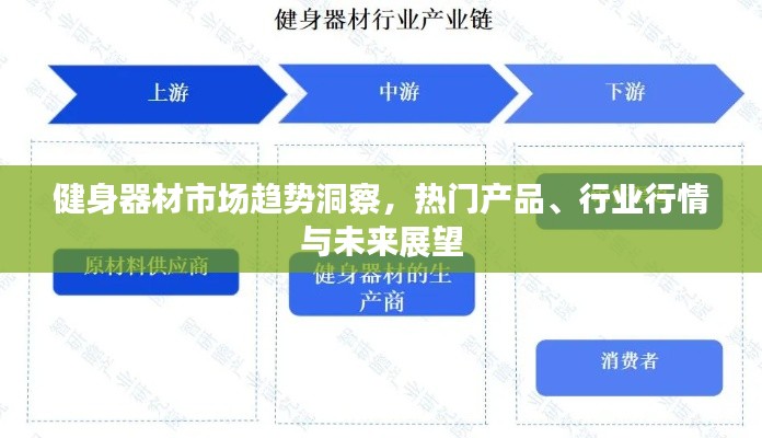 健身器材市场趋势洞察，热门产品、行业行情与未来展望