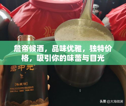 詹帝候酒，品味优雅，独特价格，吸引你的味蕾与目光