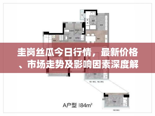 圭岗丝瓜今日行情，最新价格、市场走势及影响因素深度解析