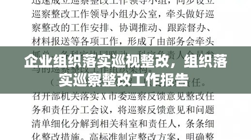 企业组织落实巡视整改，组织落实巡察整改工作报告 