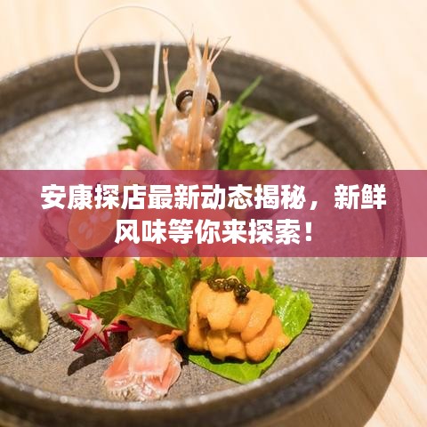 安康探店最新动态揭秘，新鲜风味等你来探索！