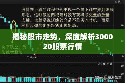 揭秘股市走势，深度解析300020股票行情