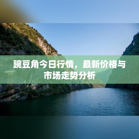 豌豆角今日行情，最新价格与市场走势分析