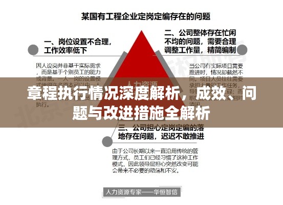 章程执行情况深度解析，成效、问题与改进措施全解析