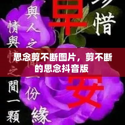 思念剪不断图片，剪不断的思念抖音版 