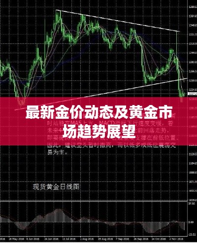 最新金价动态及黄金市场趋势展望